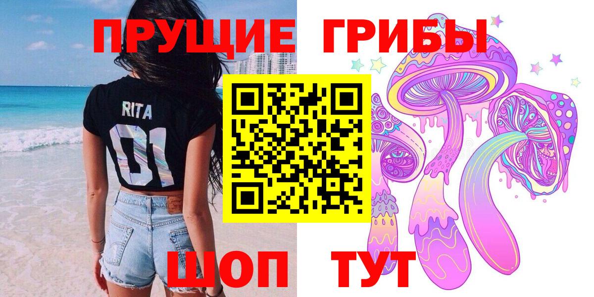 Галлюциногенные грибы Cubensis Тавда