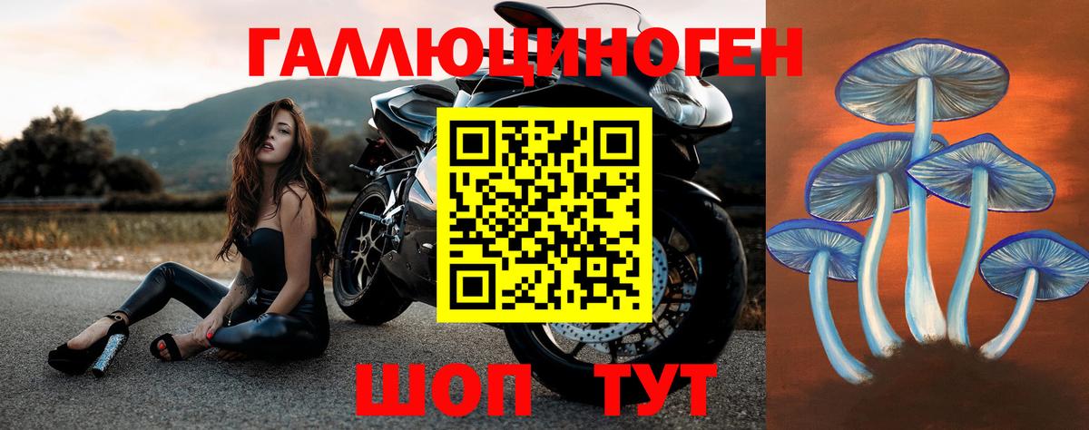Галлюциногенные грибы мухоморы  Вход с VPN  Тавда 